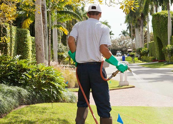 About Melvin AL Pest Control